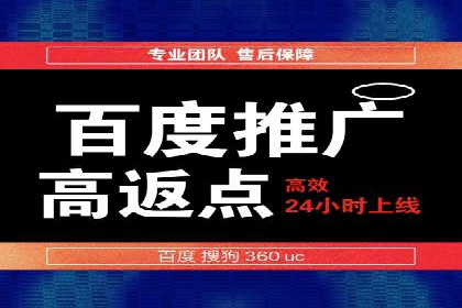 XX领域竞价广告的投放策略及效果展示